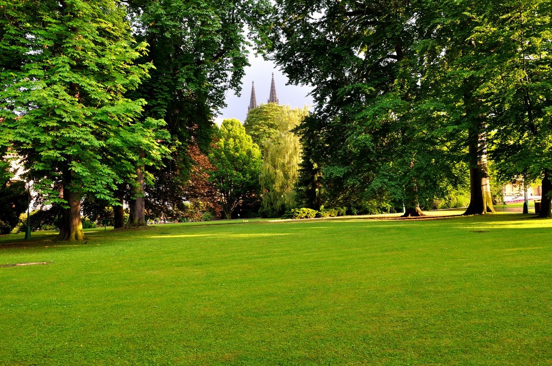 5 astuces jardin