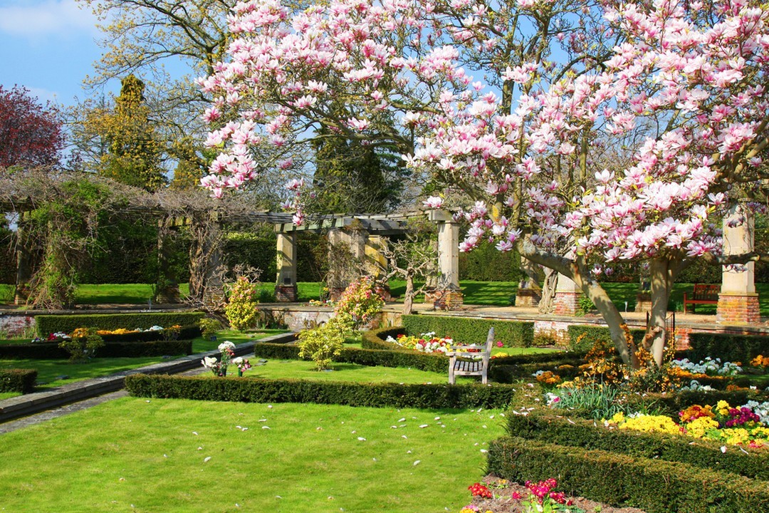 arbres jardin