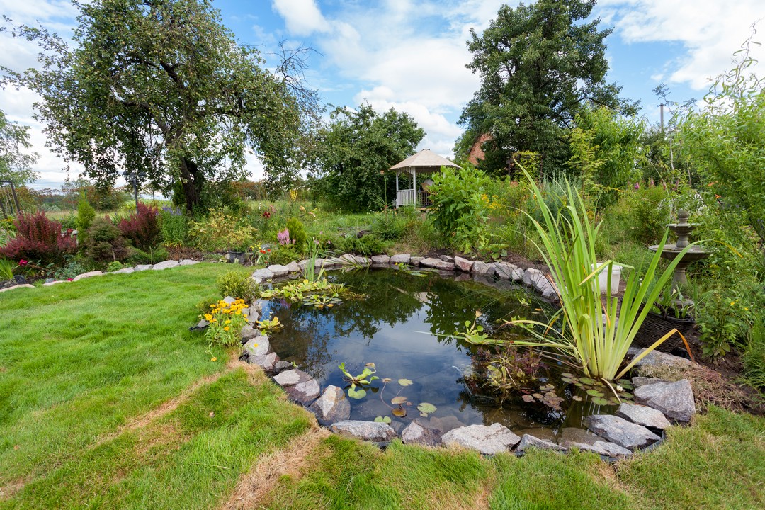 bassin jardin professionnel