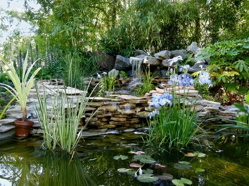 cascade jardin