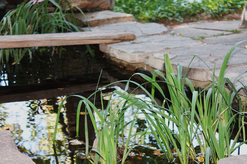 faire bassin jardin