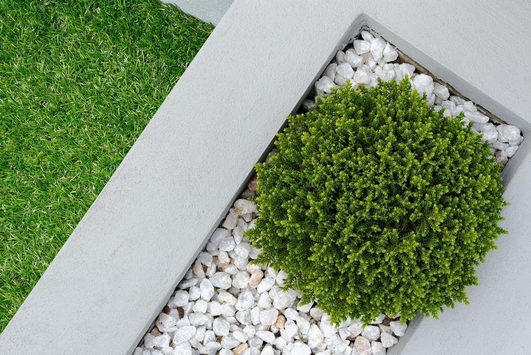 décoration jardin