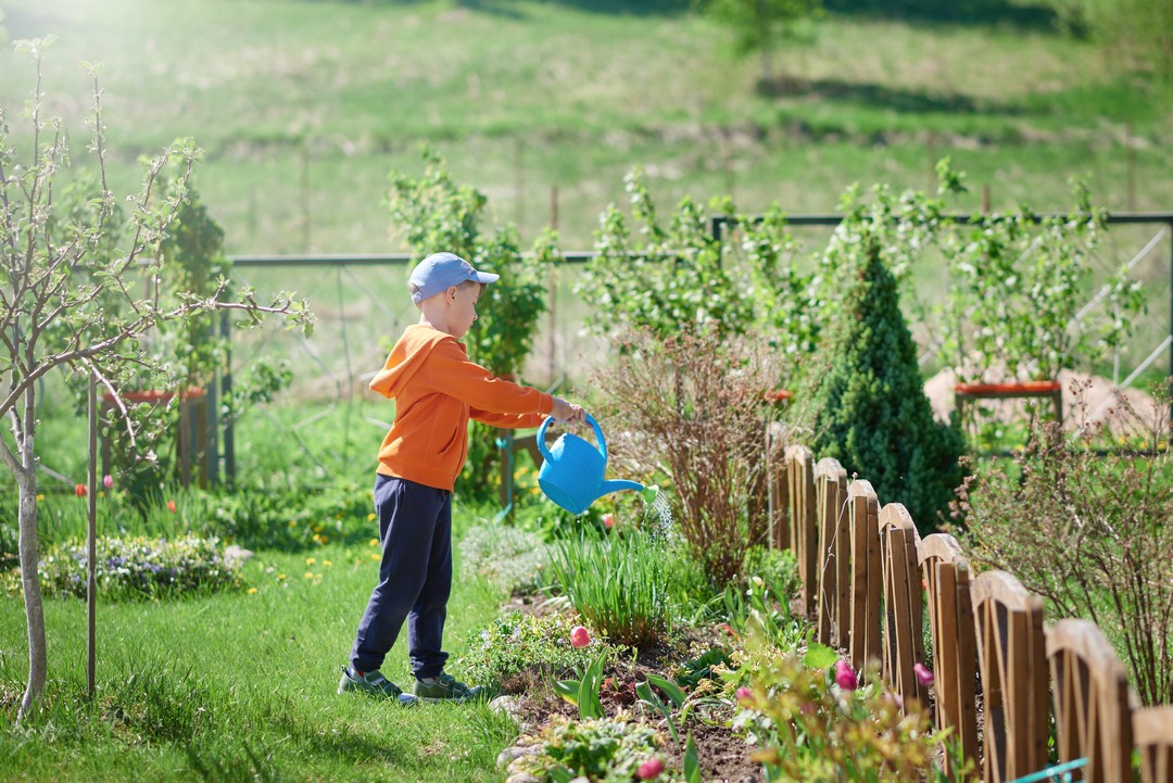 entretien jardin