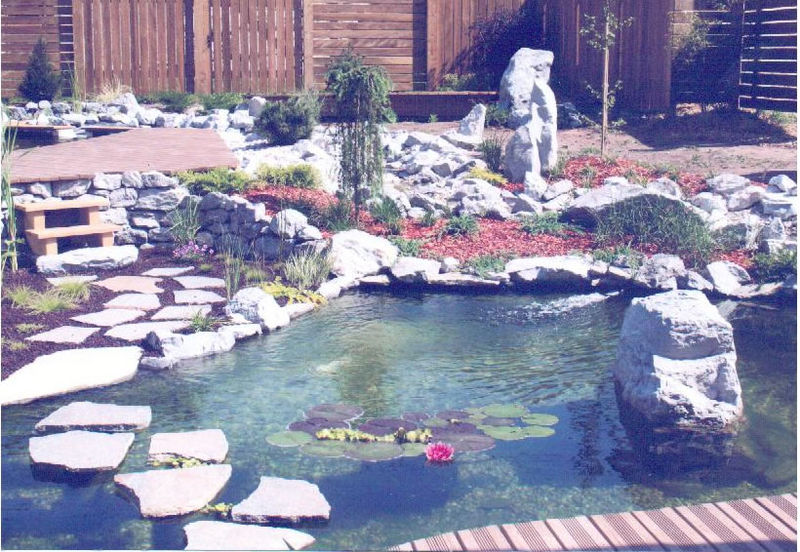 piscine naturelle